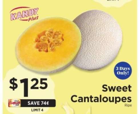 Sweet Cantaloupes