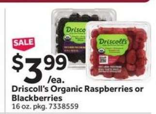 Driscoll's Organic Raspberries or Blackberries
