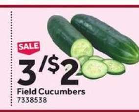 Field Cucumbers