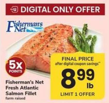Fisherman's Net Fresh Atlantic Salmon Fillet