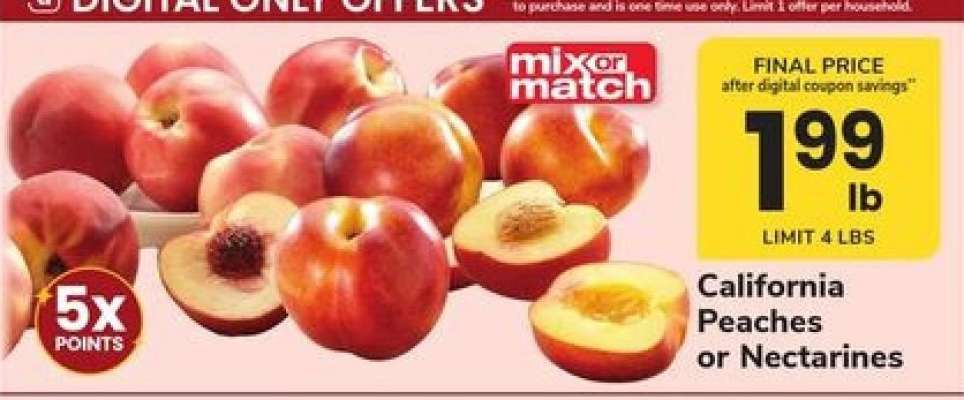 California Peaches or Nectarines