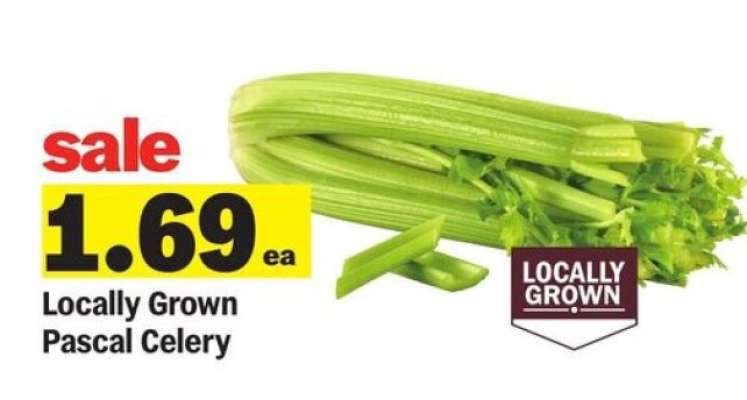 Locally Grown Pascal Celery