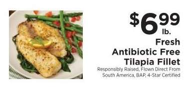 Fresh Antibiotic Free Tilapia Fillet