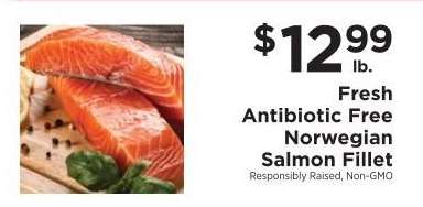 Fresh Antibiotic Free Norwegian Salmon Fillet