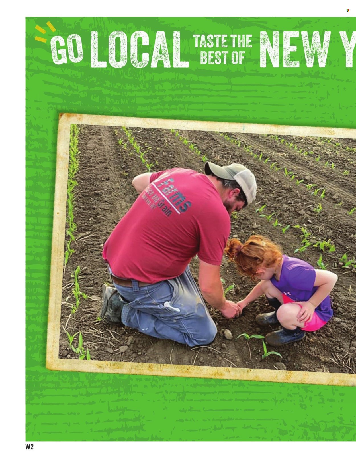 Price Chopper ad - 08/10/2025 - 08/16/2025. Page 15