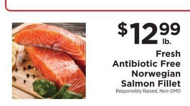 Fresh Antibiotic Free Norwegian Salmon Fillet