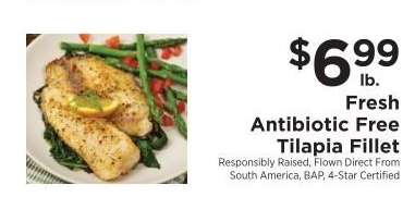 Fresh Antibiotic Free Tilapia Fillet