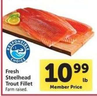 Fresh Steelhead Trout Fillet