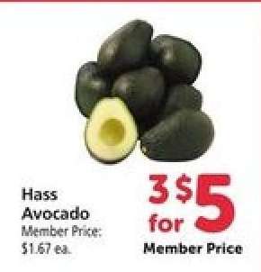 Hass Avocado