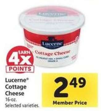 Lucerne Cottage Cheese