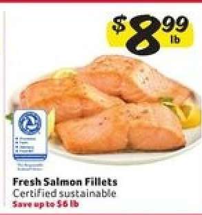 Fresh Salmon Fillets