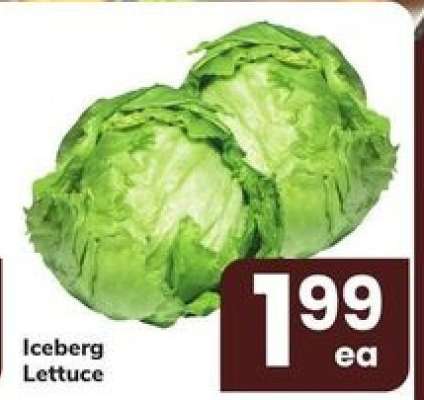 Iceberg Lettuce