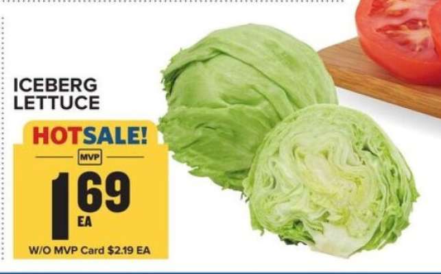 Iceberg Lettuce