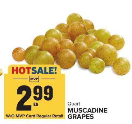 Muscadine Grapes
