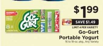 GO-GURT Portable Yogurt
