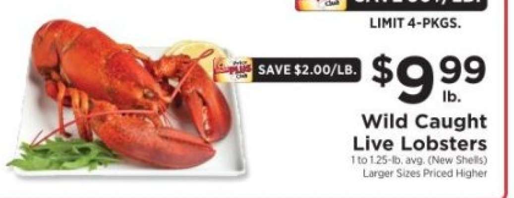 Wild Caught Live Lobsters