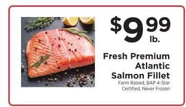 Fresh Premium Atlantic Salmon Fillet