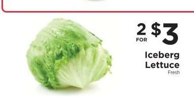 Iceberg Lettuce