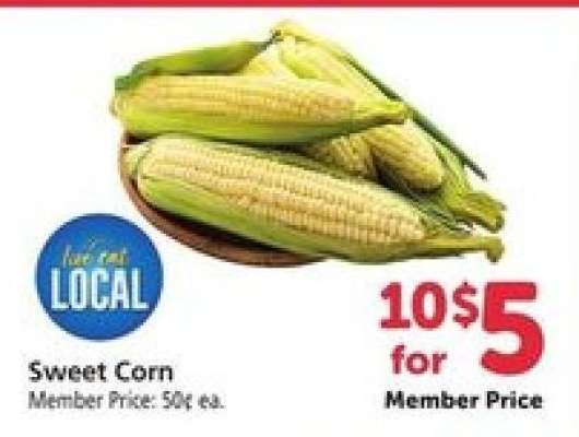 Sweet Corn