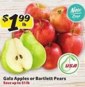 Gala Apples or Bartlett Pears