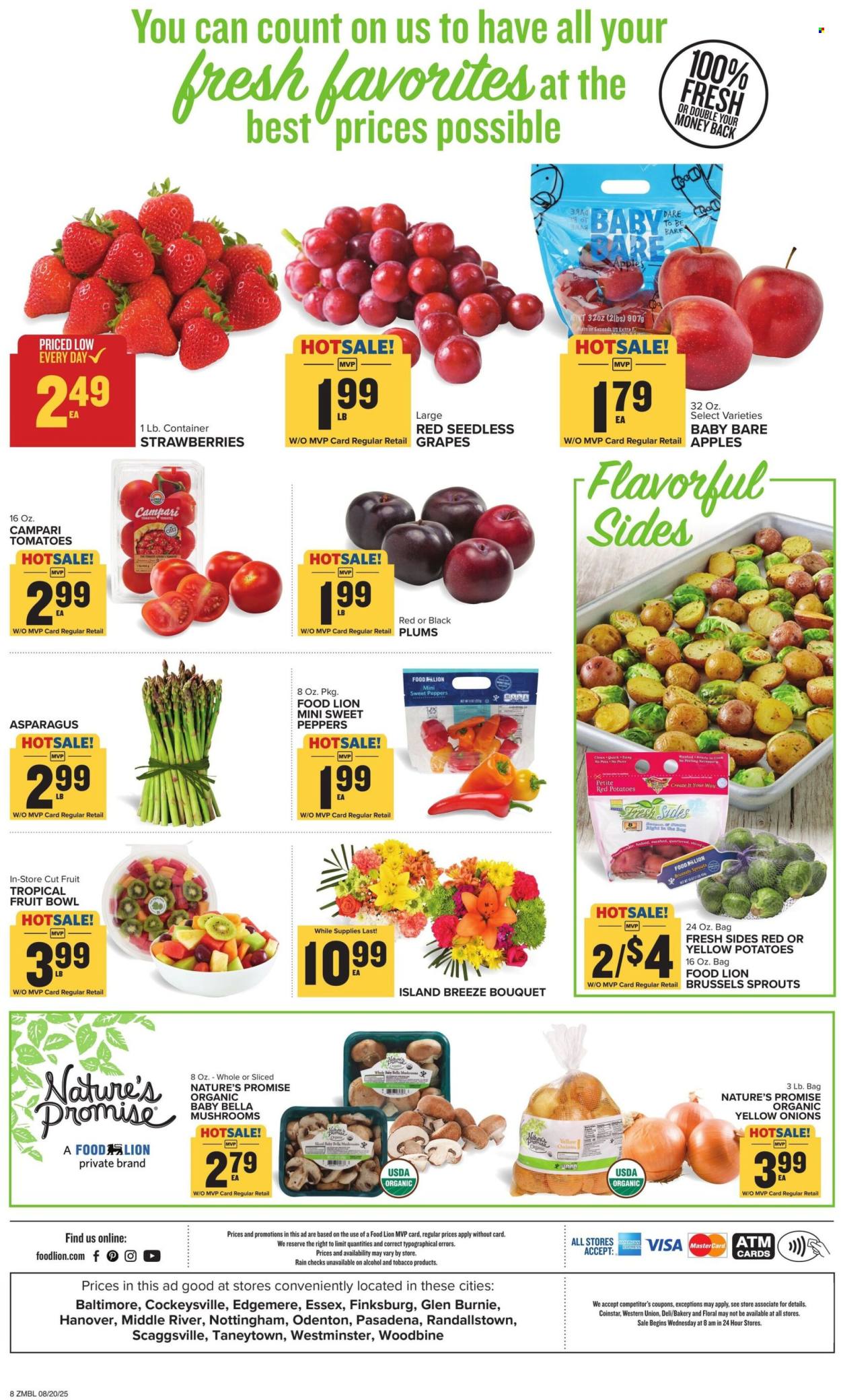 Food Lion ad - 08/20/2025 - 08/26/2025. Page 9