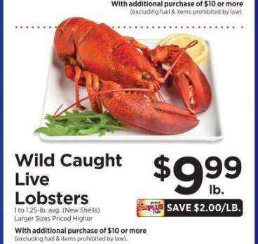 Wild Caught Live Lobsters