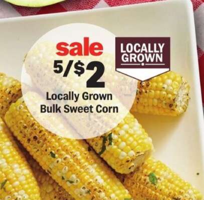 Locally Grown Bulk Sweet Corn