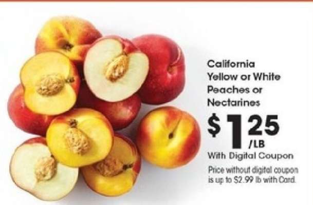 California Yellow or White Peaches or Nectarines