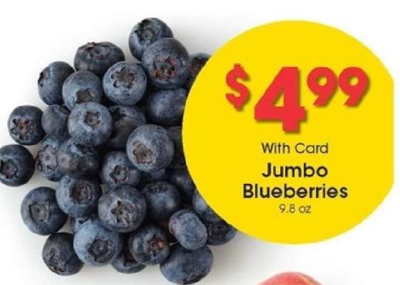 Jumbo Blueberries
