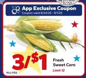 Fresh Sweet Corn