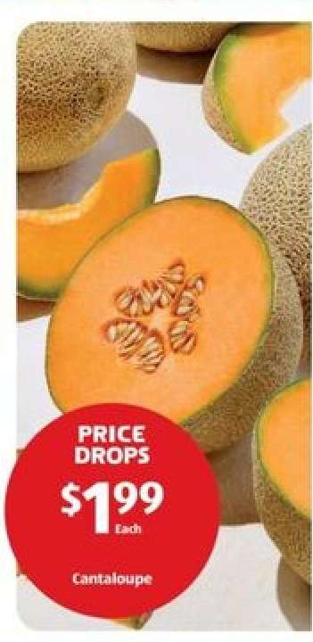 Cantaloupe