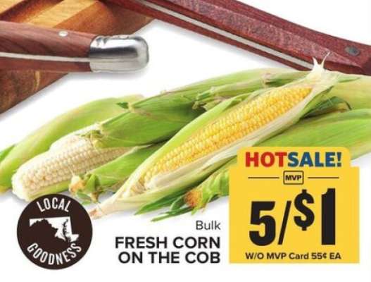 FRESH CORN ON THE COB
