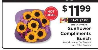 Sunflower Compliments Bunch