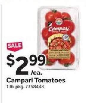 Campari Tomatoes