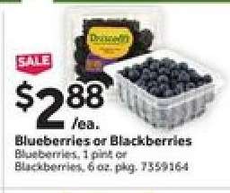 Blueberries or Blackberries