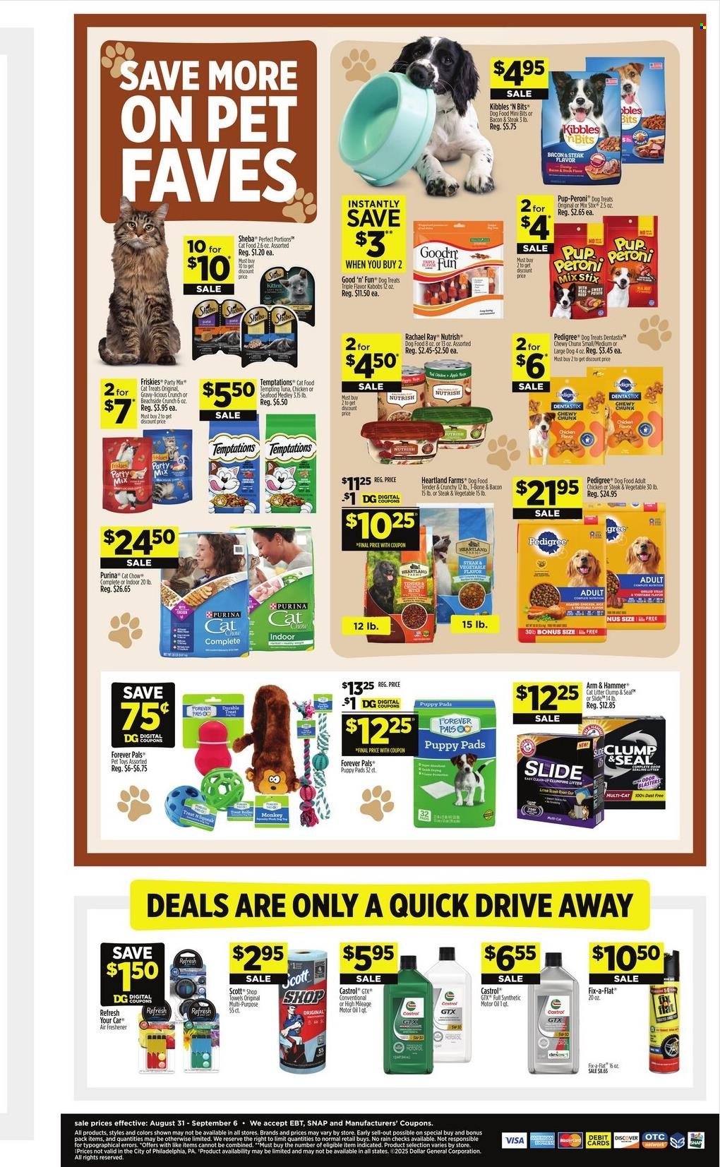 Dollar General ad - 08/31/2025 - 09/06/2025. Page 13