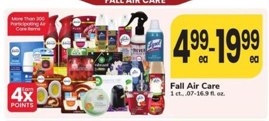 Fall Air Care