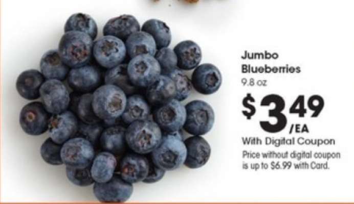 Jumbo Blueberries