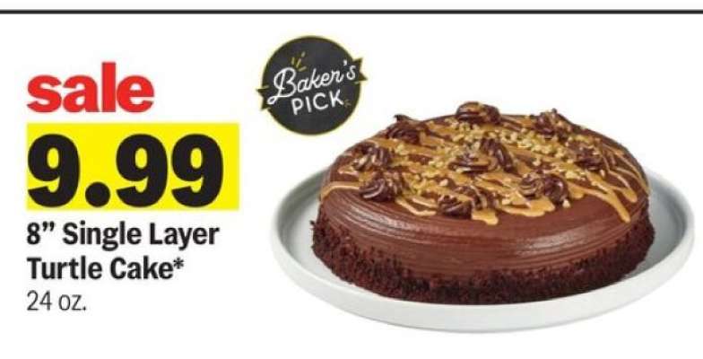 8” Single Layer Turtle Cake