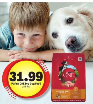 Purina ONE Dry Dog Food