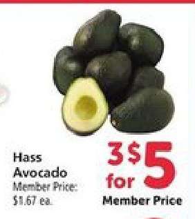 Hass Avocado