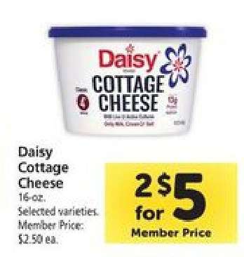 Daisy Cottage Cheese