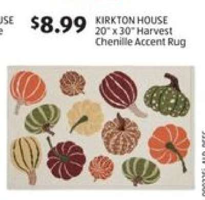 KIRKTON HOUSE 20" x 30" Harvest Chenille Accent Rug