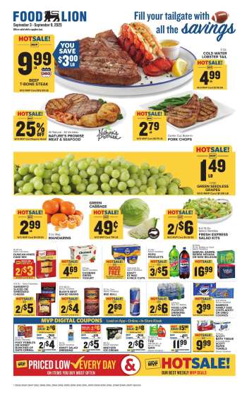 thumbnail - Food Lion Ad - Weekly Ad