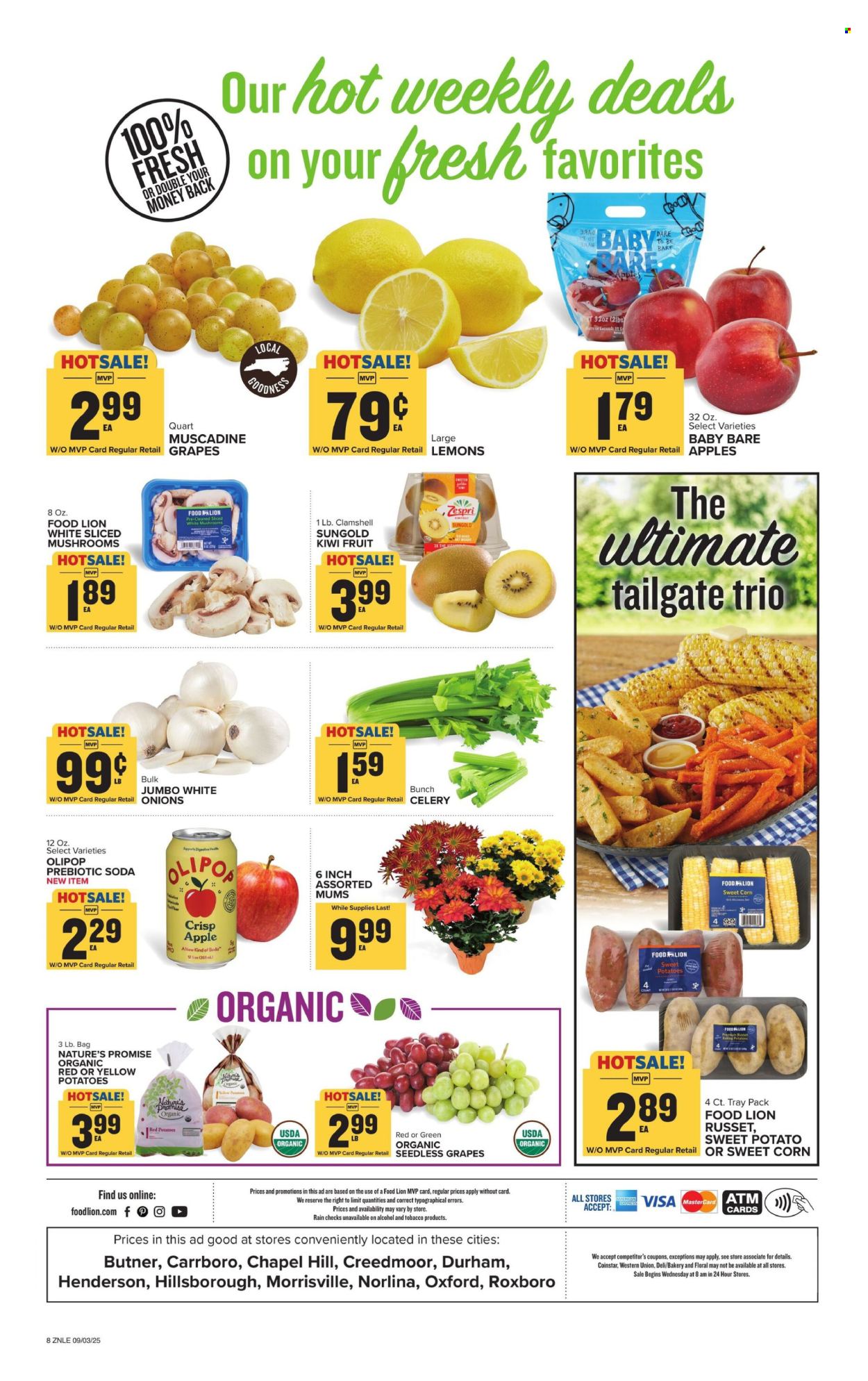Food Lion ad - 09/03/2025 - 09/09/2025. Page 10