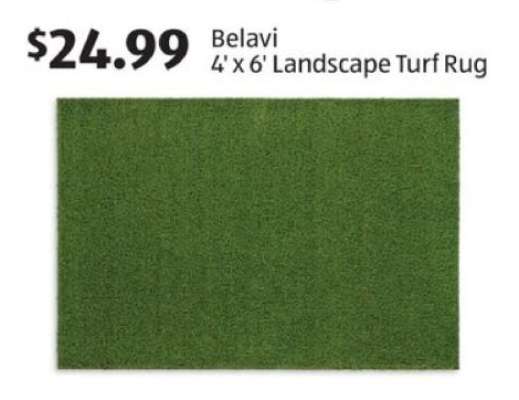 Belavi 4' x 6' Landscape Turf Rug
