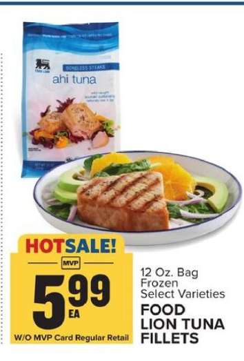 FOOD LION TUNA FILLETS