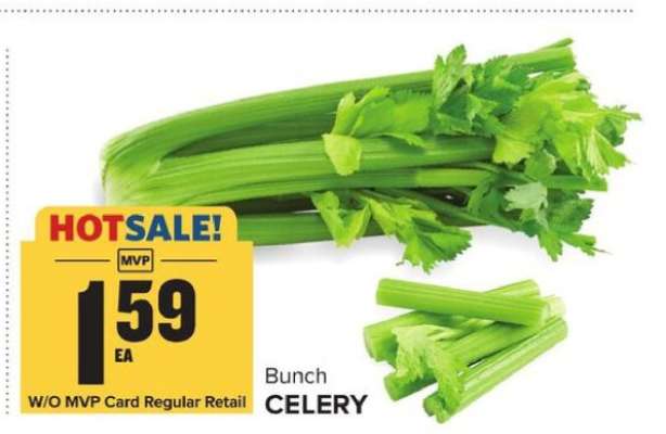 Bunch Celery
