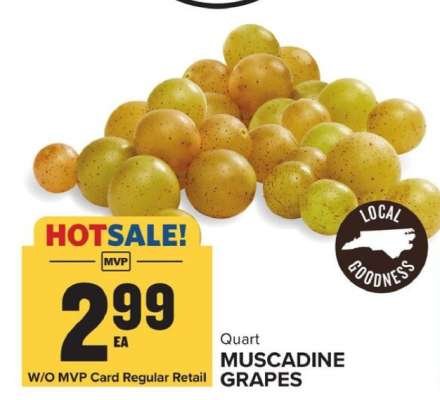 Muscadine Grapes