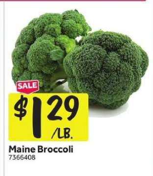 Maine Broccoli
